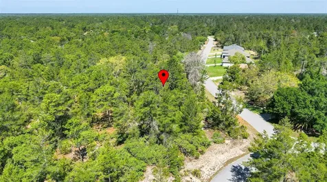14 Heuchera Court E Homosassa FL 34446