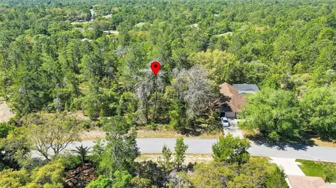 14 Heuchera Court E Homosassa FL 34446