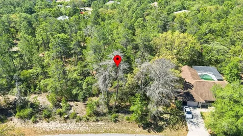14 Heuchera Court E Homosassa FL 34446