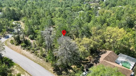 14 Heuchera Court E Homosassa FL 34446
