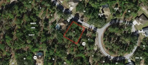 14 Heuchera Court E Homosassa FL 34446