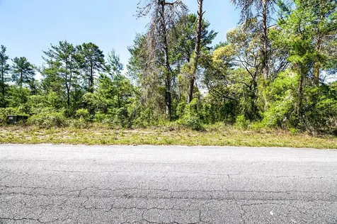 14 Heuchera Court E Homosassa FL 34446