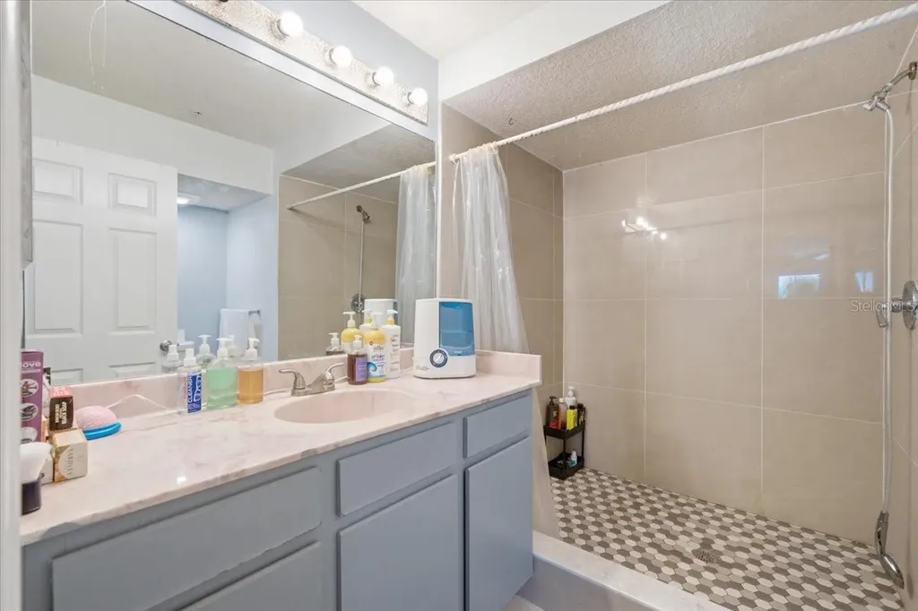 5007 Sunridge Palms Drive Tampa FL 33617