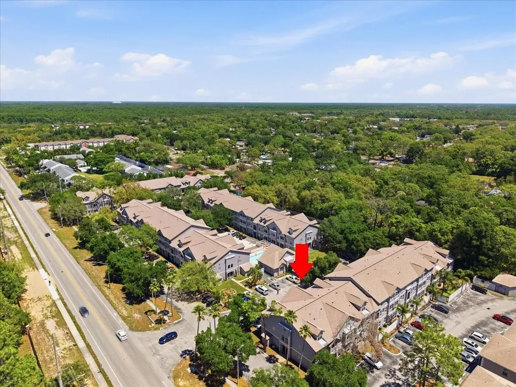 5007 Sunridge Palms Drive Tampa FL 33617