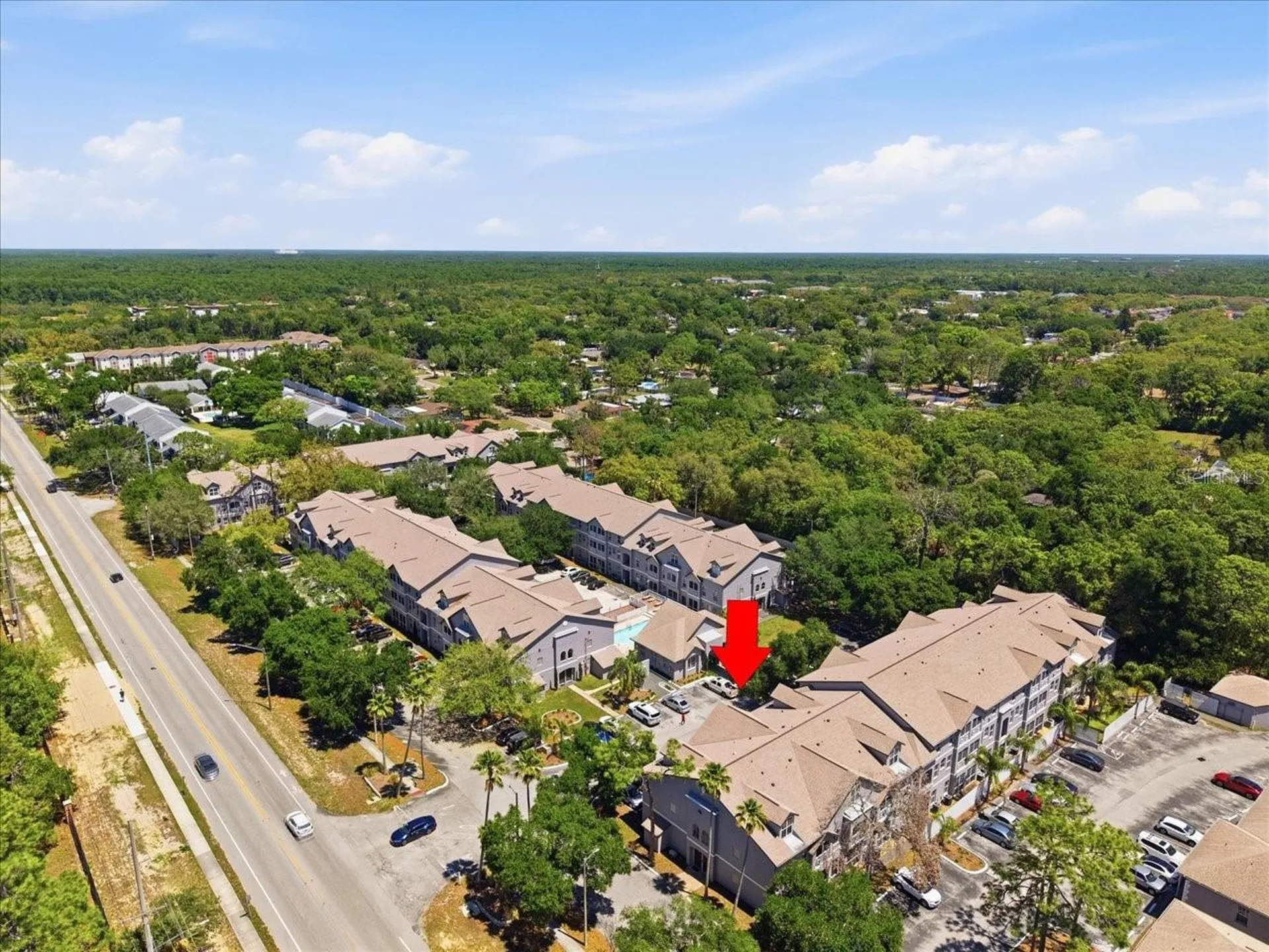 5007 Sunridge Palms Drive Tampa FL 33617