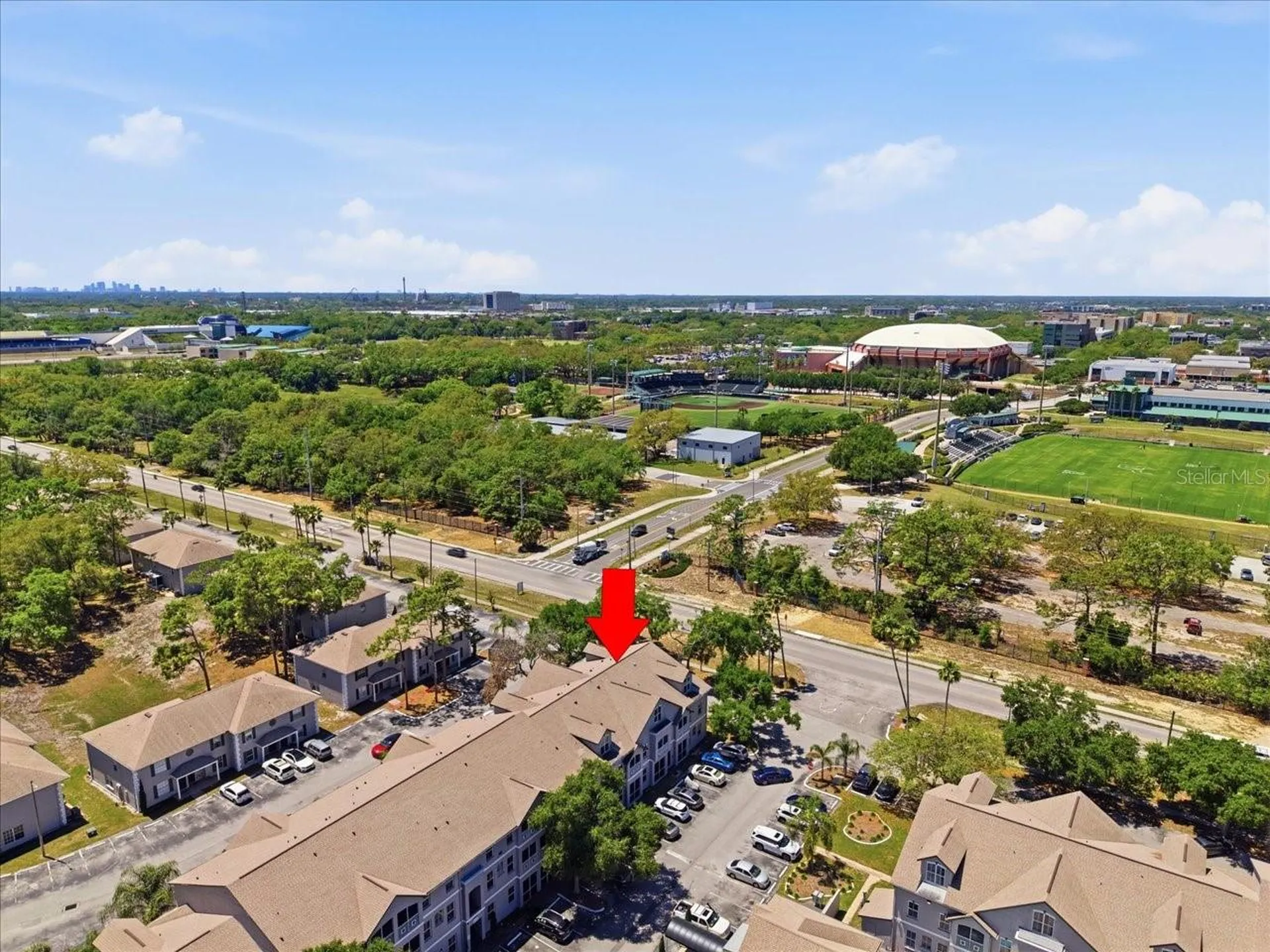 5007 Sunridge Palms Drive Tampa FL 33617