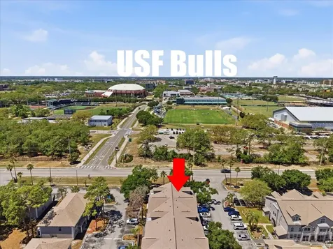 5007 Sunridge Palms Drive Tampa FL 33617