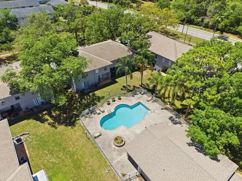 5007 Sunridge Palms Drive Tampa FL 33617