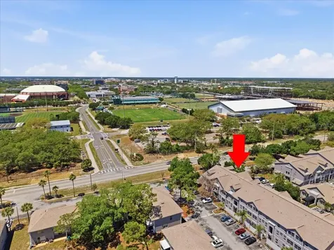 5007 Sunridge Palms Drive Tampa FL 33617