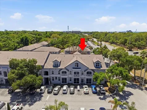 5007 Sunridge Palms Drive Tampa FL 33617