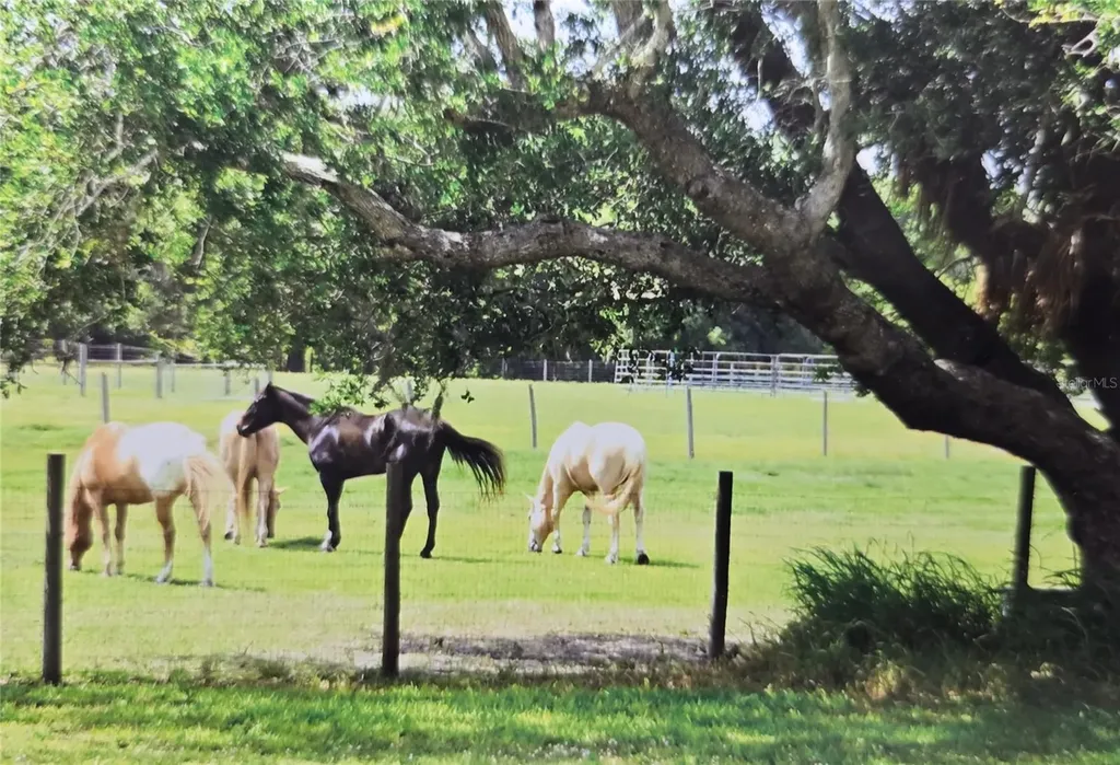 7662 SW Liverpool Road Arcadia FL 34269