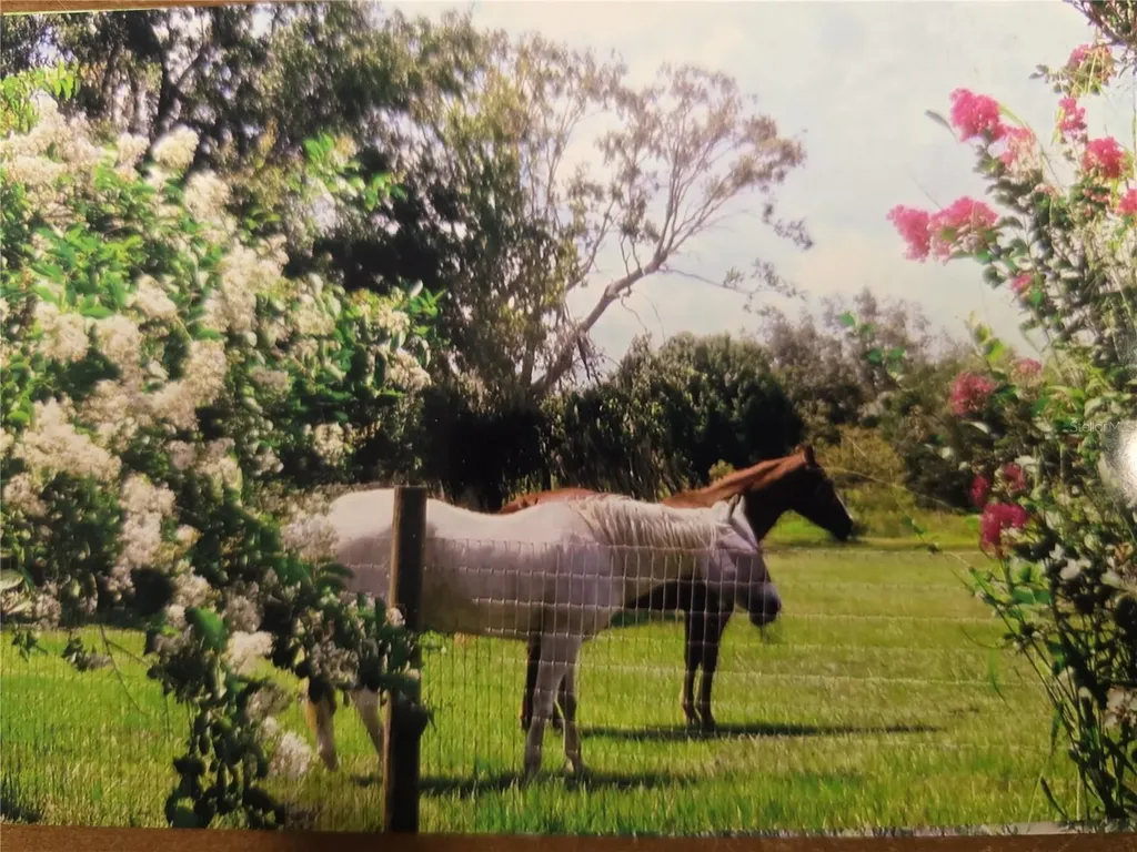 7662 SW Liverpool Road Arcadia FL 34269