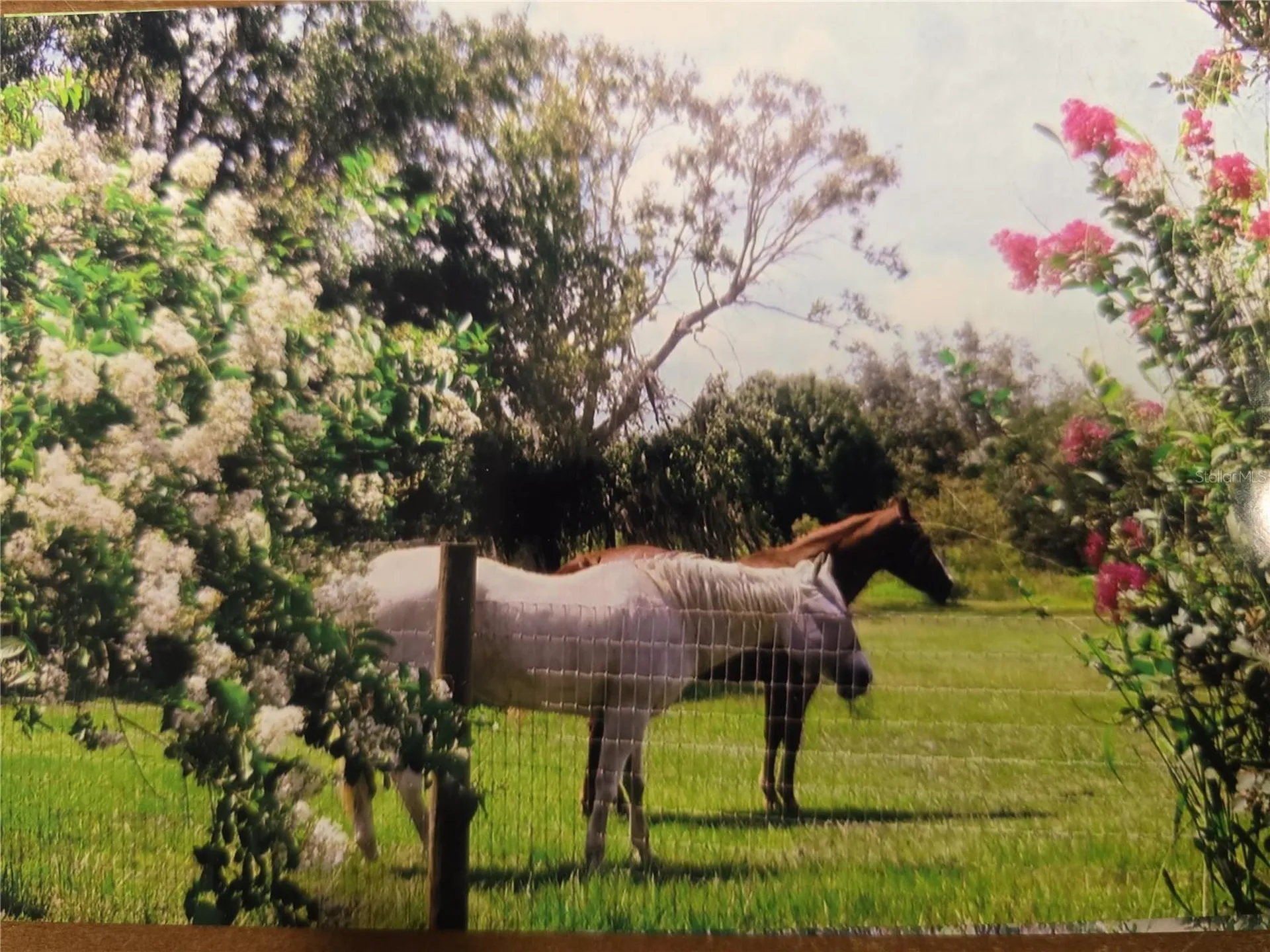 7662 SW Liverpool Road Arcadia FL 34269