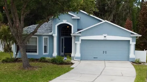 6323 Open Pasture Court Wesley Chapel FL 33545
