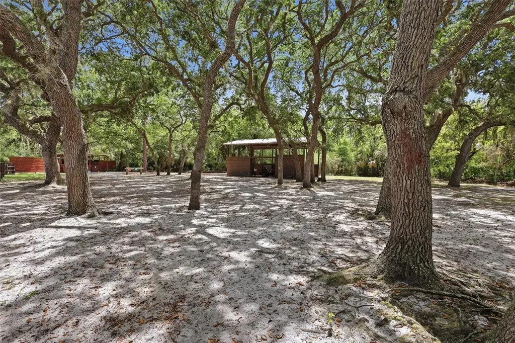 41736 Apollo Lane Deland FL 32720
