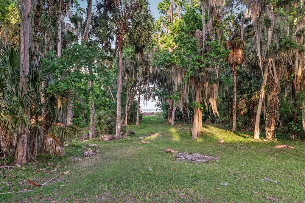 20361 1st Street Mc Intosh FL 32664