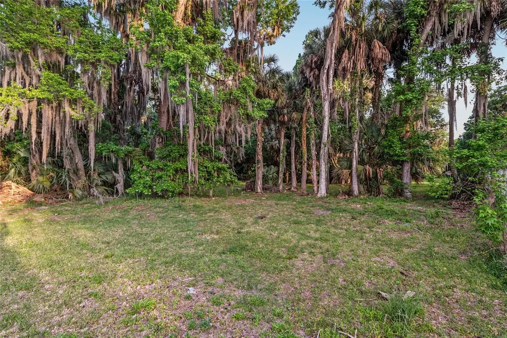 20361 1st Street Mc Intosh FL 32664