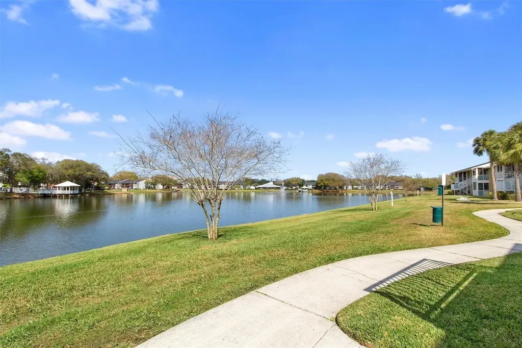 803 Lake Haven Square Brandon FL 33511