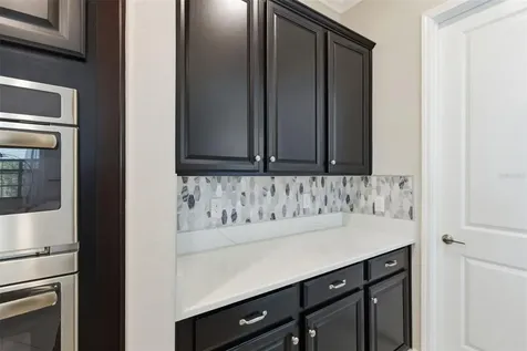 5410 Story Grass Court Wimauma FL 33598