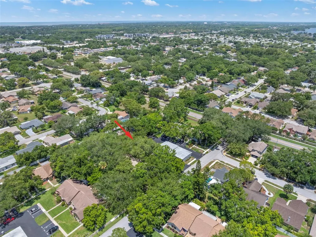 2668 Bentley Drive Palm Harbor FL 34684