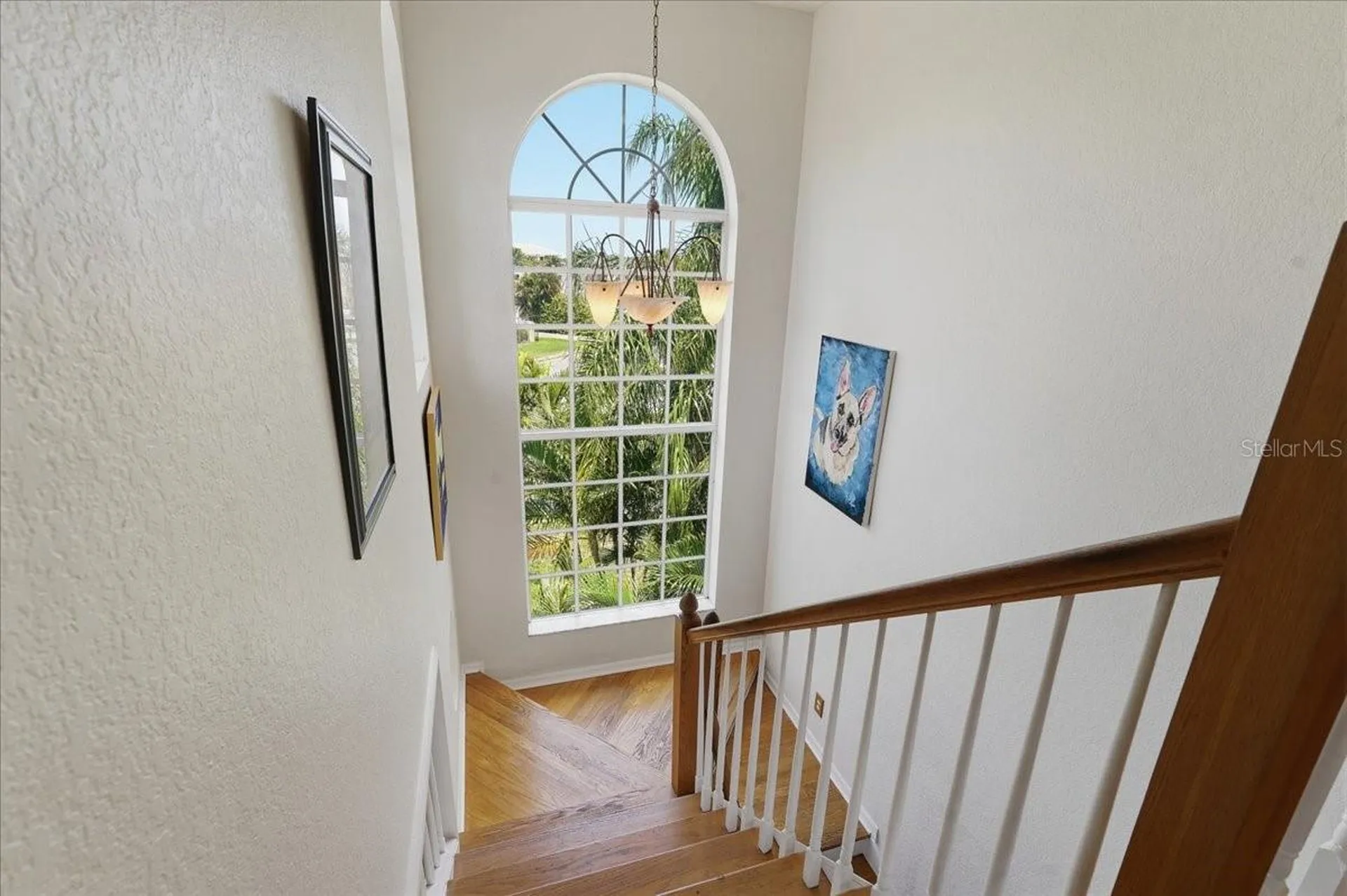 196 Shore Drive Palm Harbor FL 34683