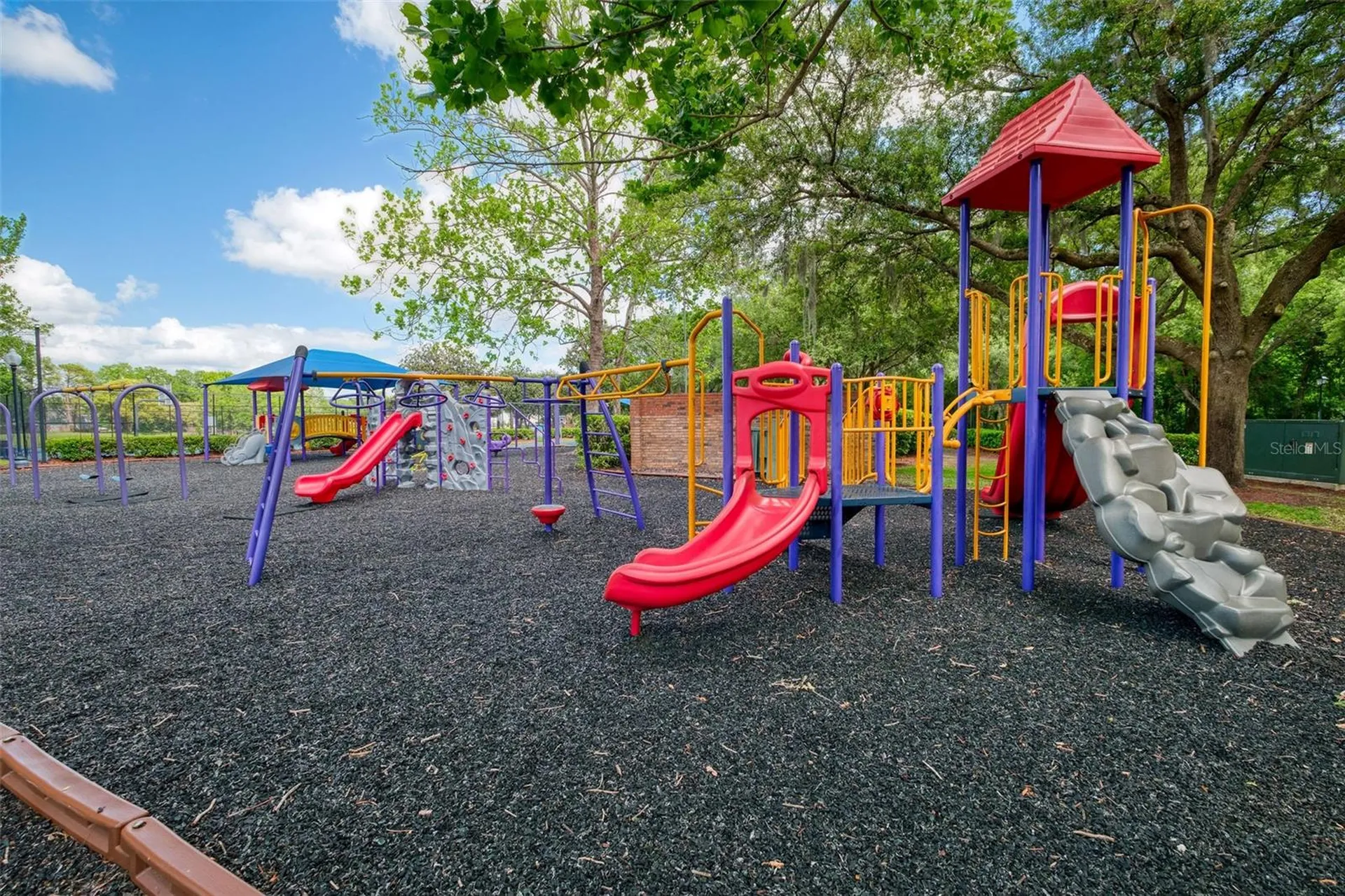 1007 Conley Drive Oviedo FL 32765