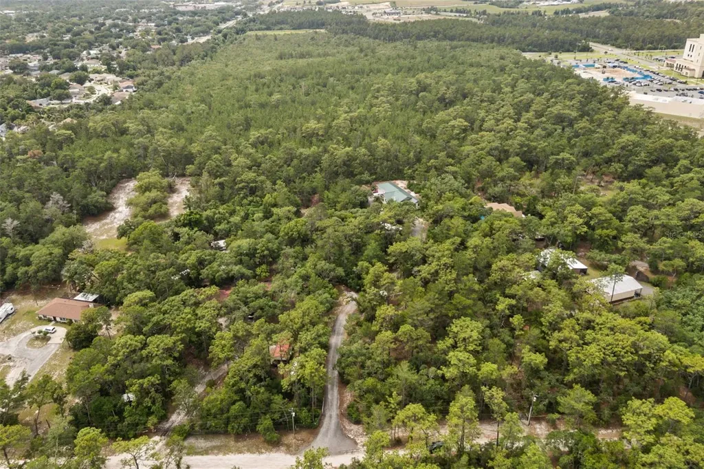 925 Blackjack Ridge Trail Lake Helen FL 32744