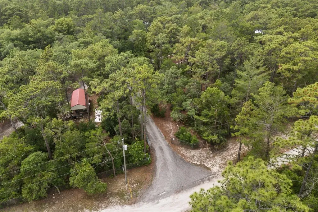 925 Blackjack Ridge Trail Lake Helen FL 32744