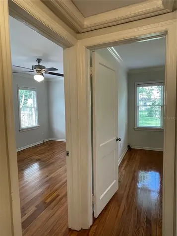303 S Audubon Avenue Tampa FL 33609