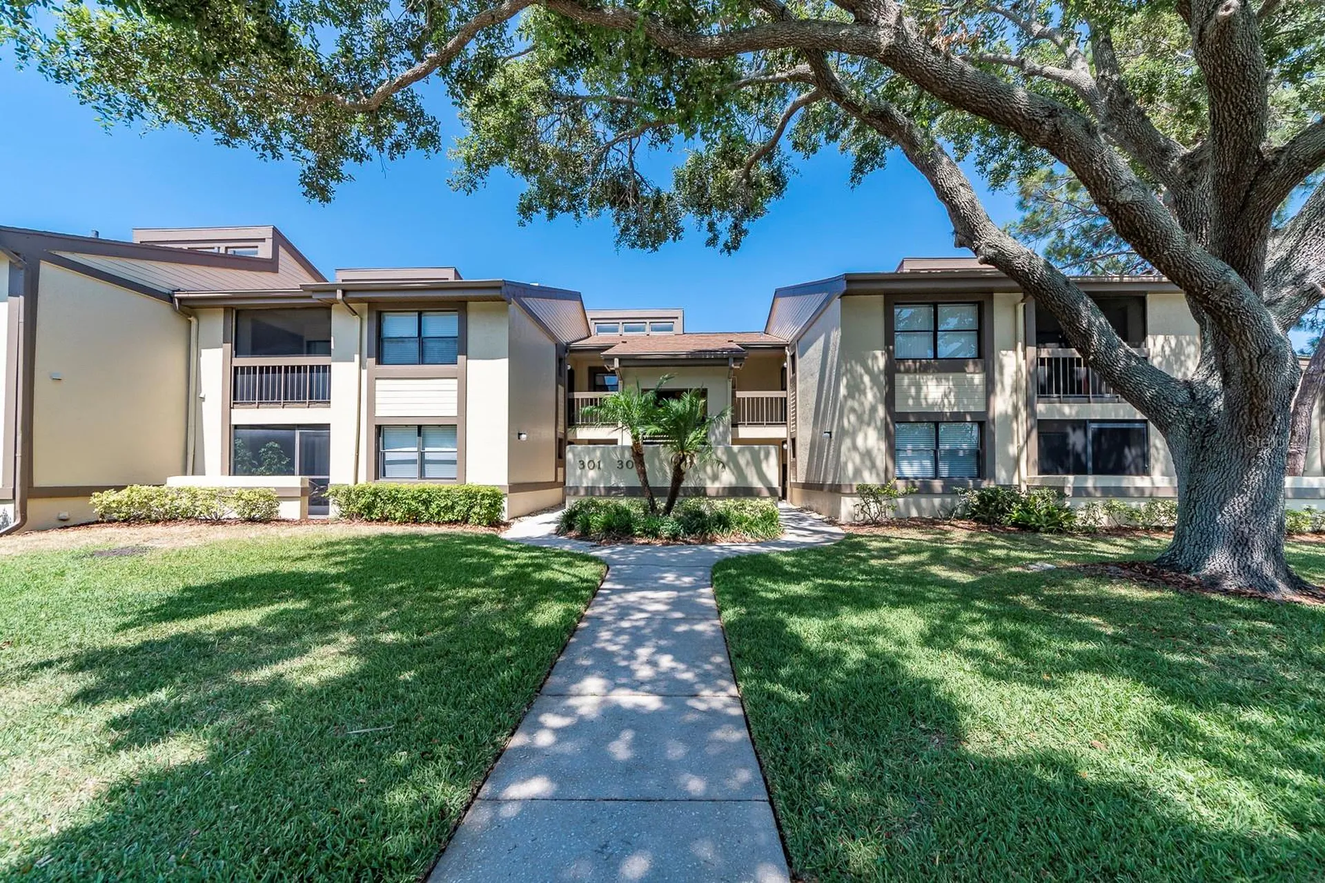 304 Woodlake Wynde Oldsmar FL 34677