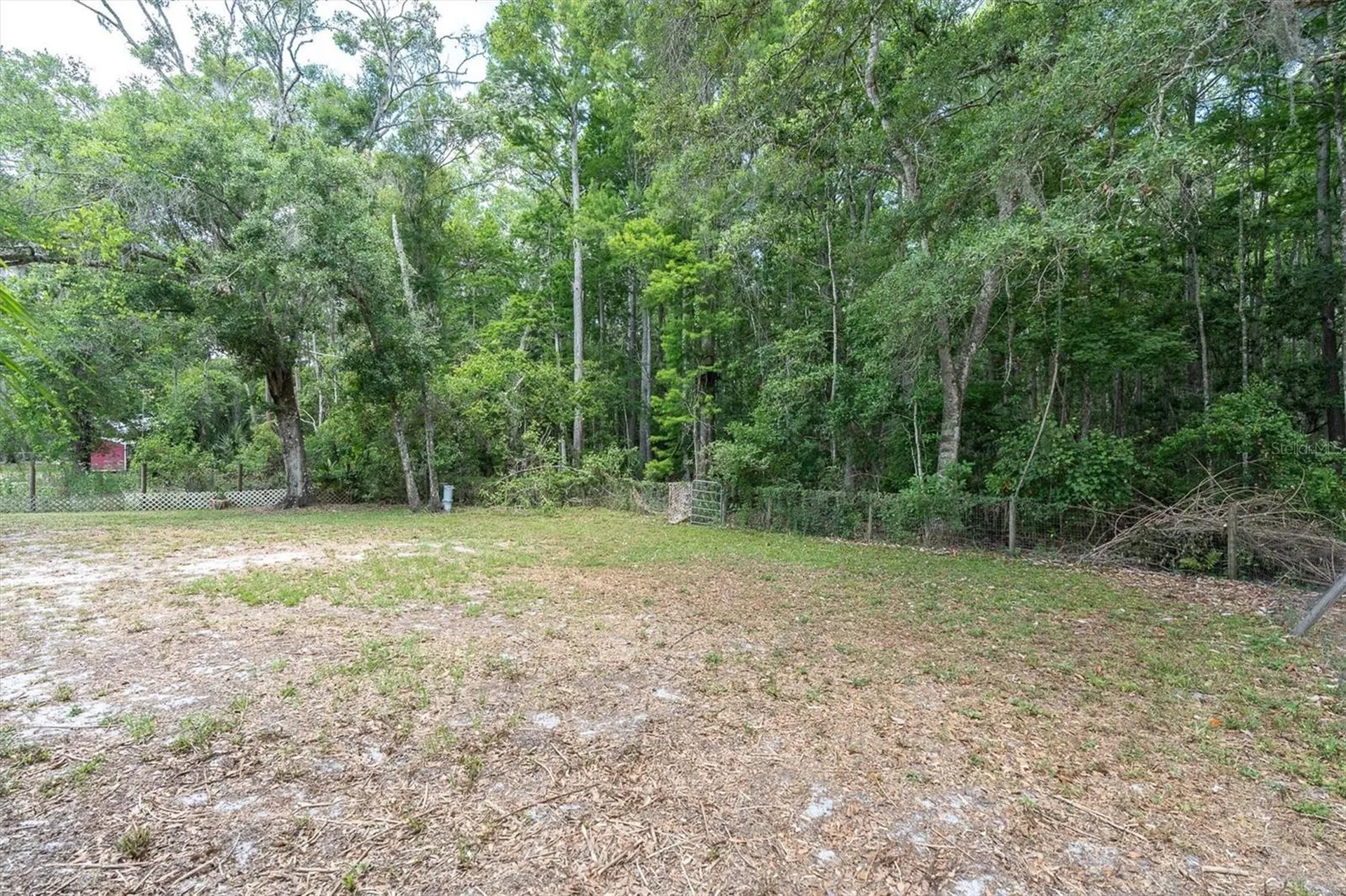 10411 Chip Lane New Port Richey FL 34654