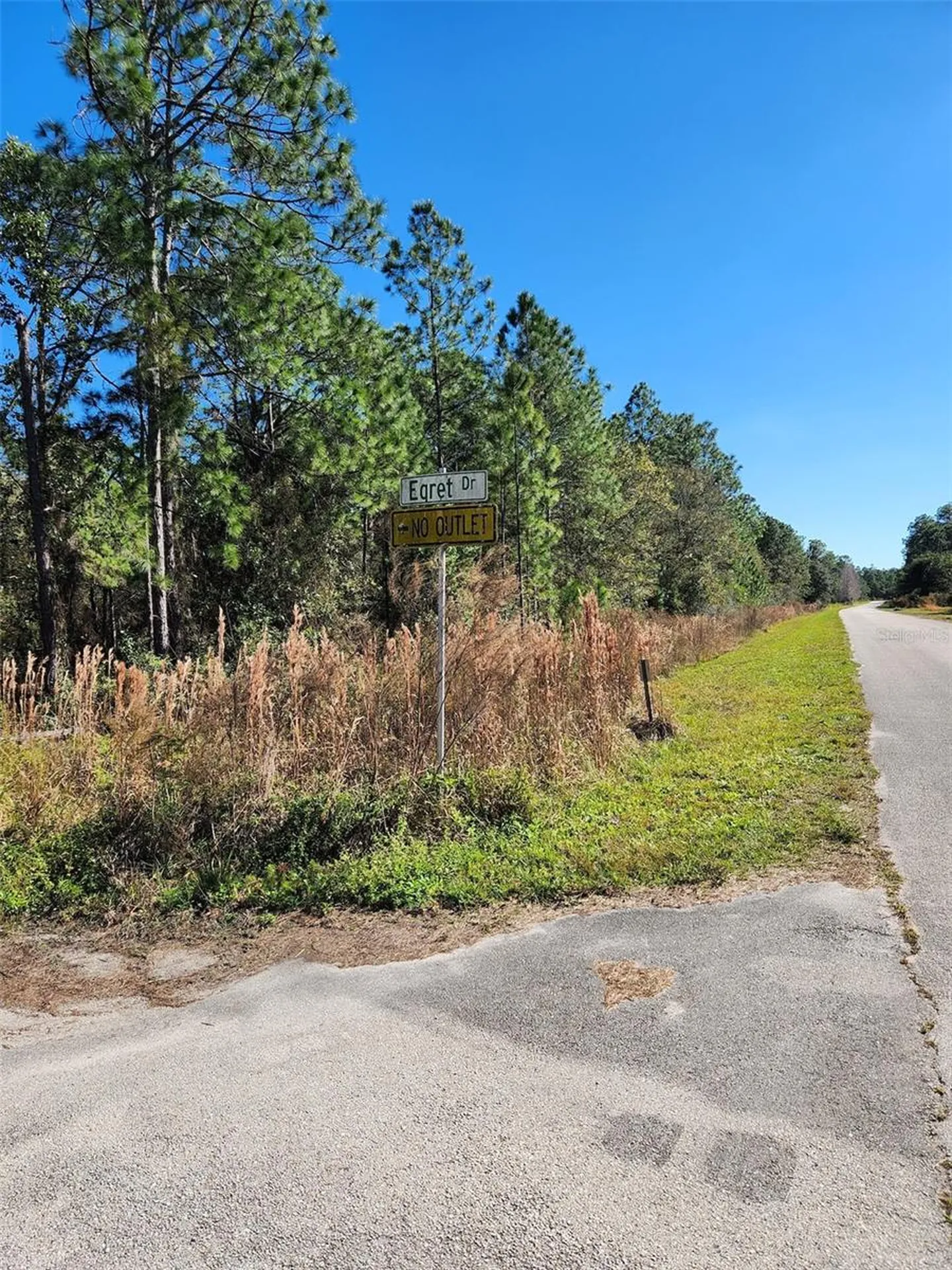 Egret Drive Frostproof FL 33843