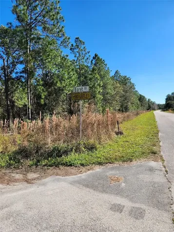 Egret Drive Frostproof FL 33843