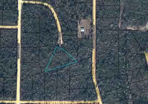 Lot 26 Andrew Court Alford FL 32420