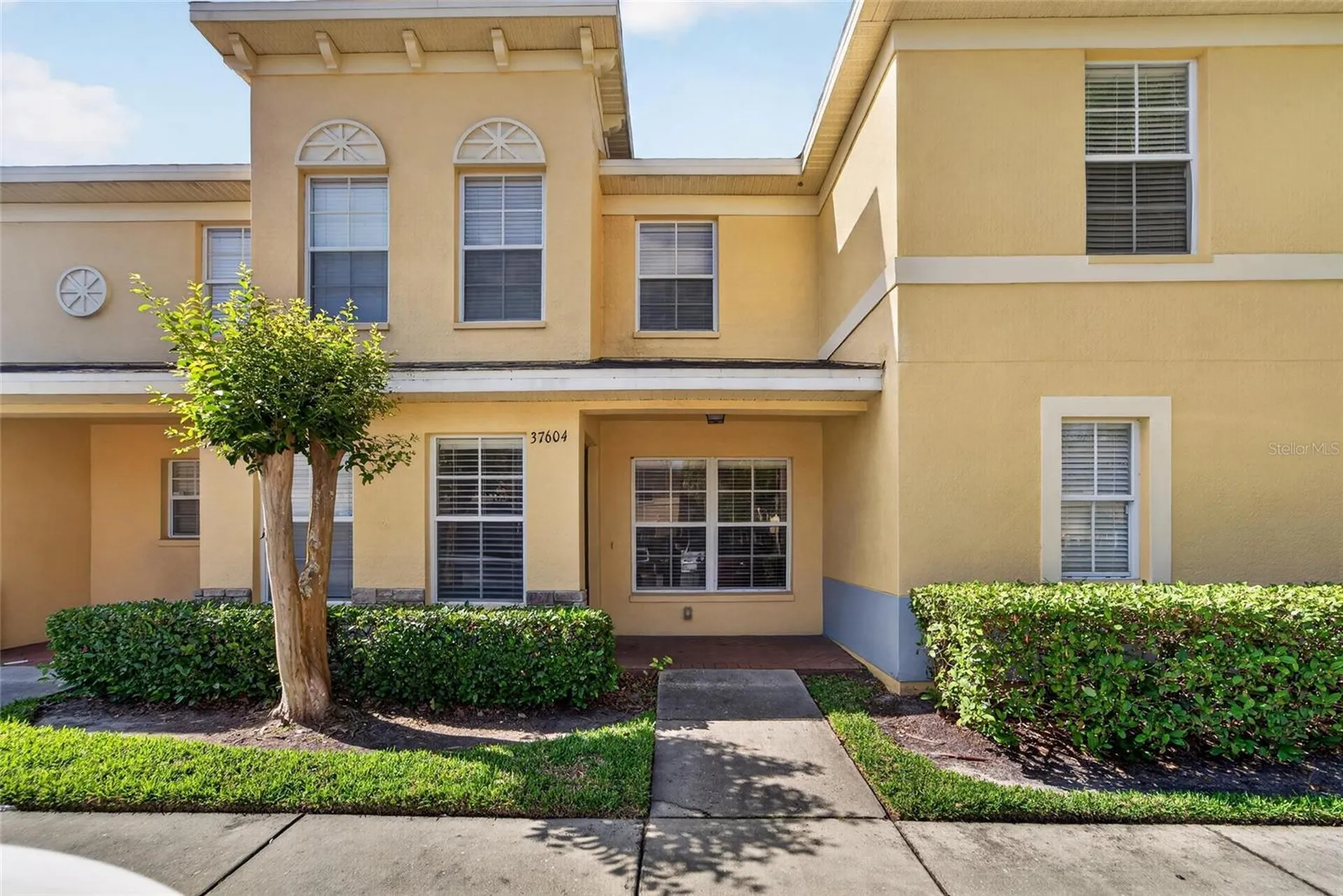 37604 Aaralyn Road Zephyrhills FL 33542