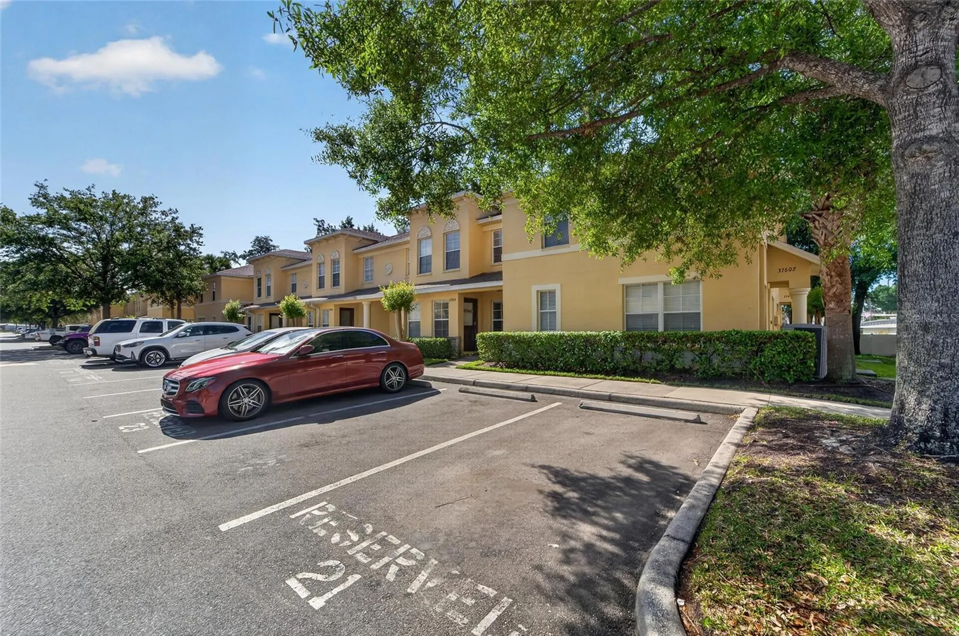 37604 Aaralyn Road Zephyrhills FL 33542