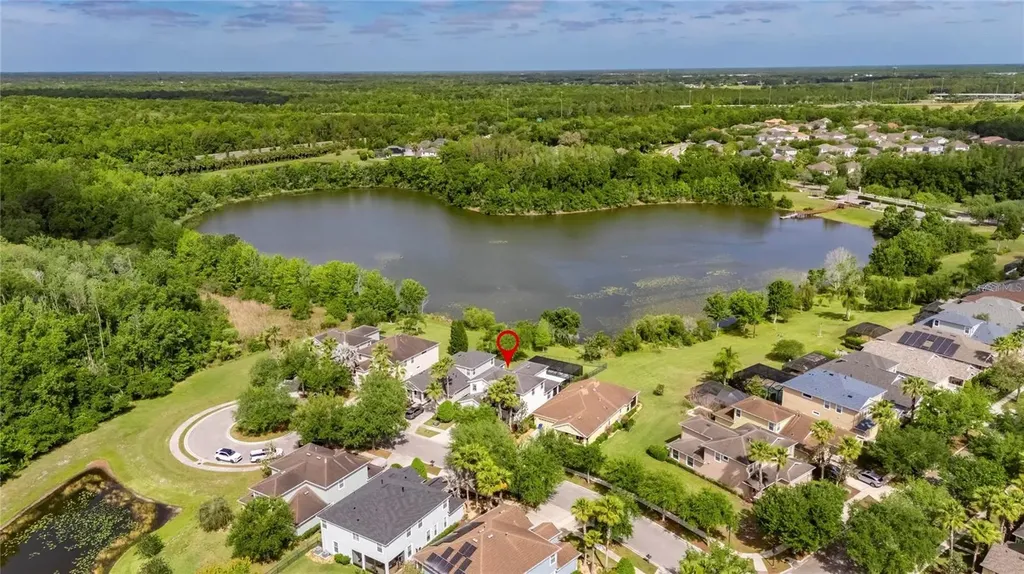 8115 Savannah Point Court Tampa FL 33647