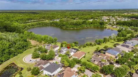 8115 Savannah Point Court Tampa FL 33647