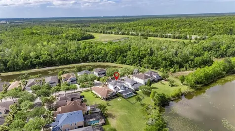 8115 Savannah Point Court Tampa FL 33647