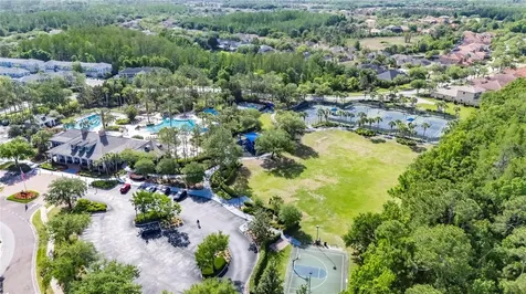 8115 Savannah Point Court Tampa FL 33647