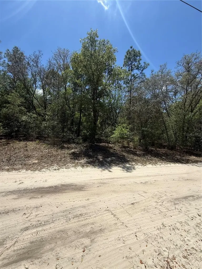 NE 118th Lane Bronson FL 32621