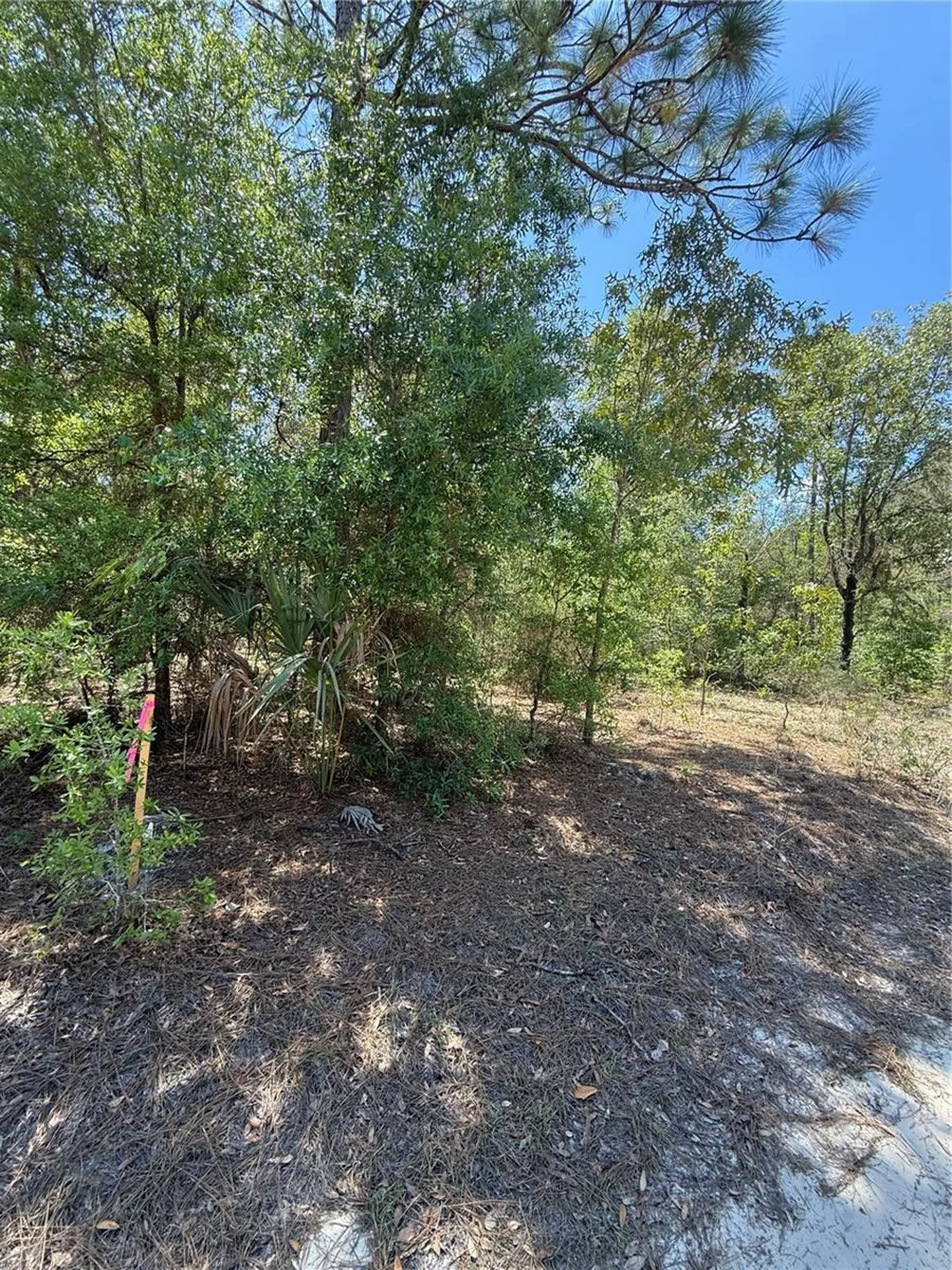 NE 118th Lane Bronson FL 32621