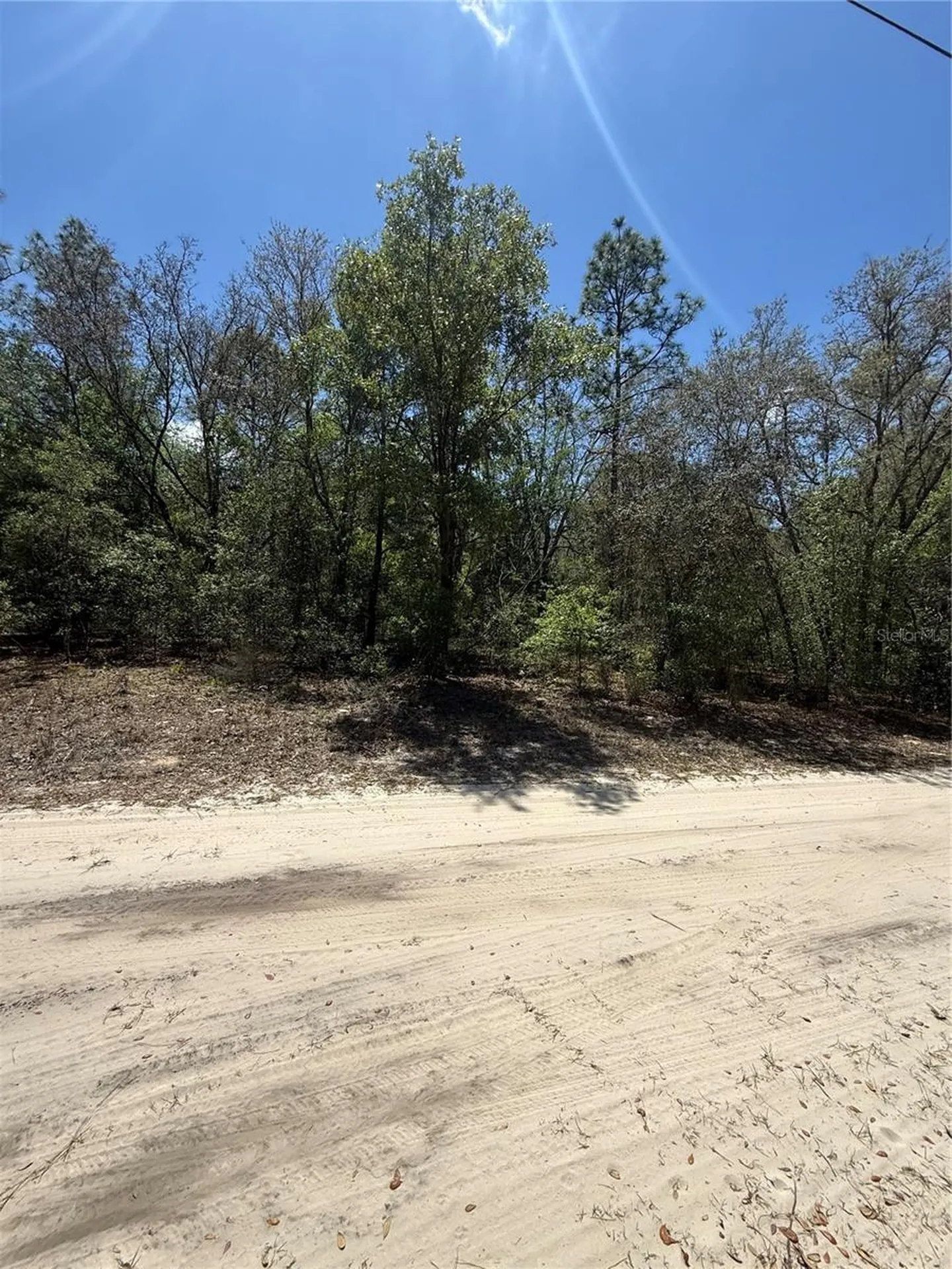 NE 118th Lane Bronson FL 32621