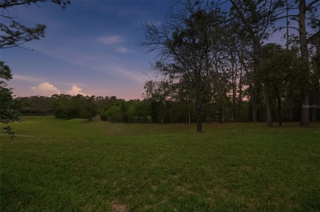11437 Deercroft Court Spring Hill FL 34609
