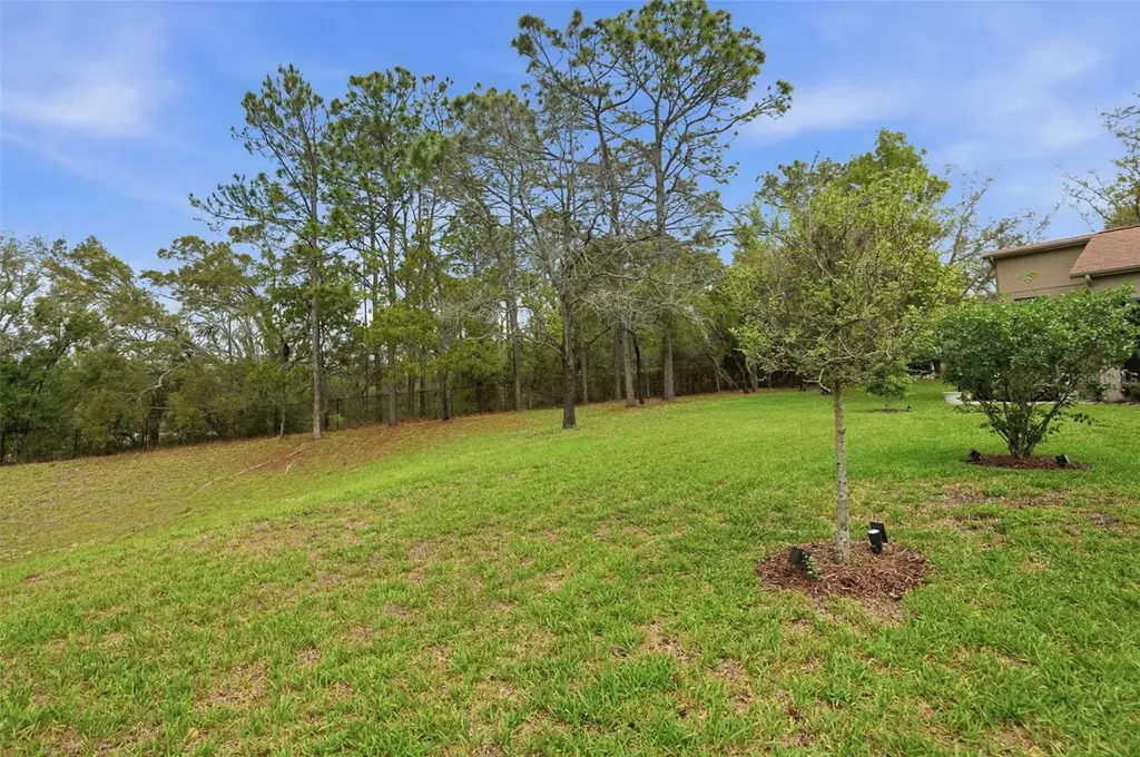 11437 Deercroft Court Spring Hill FL 34609