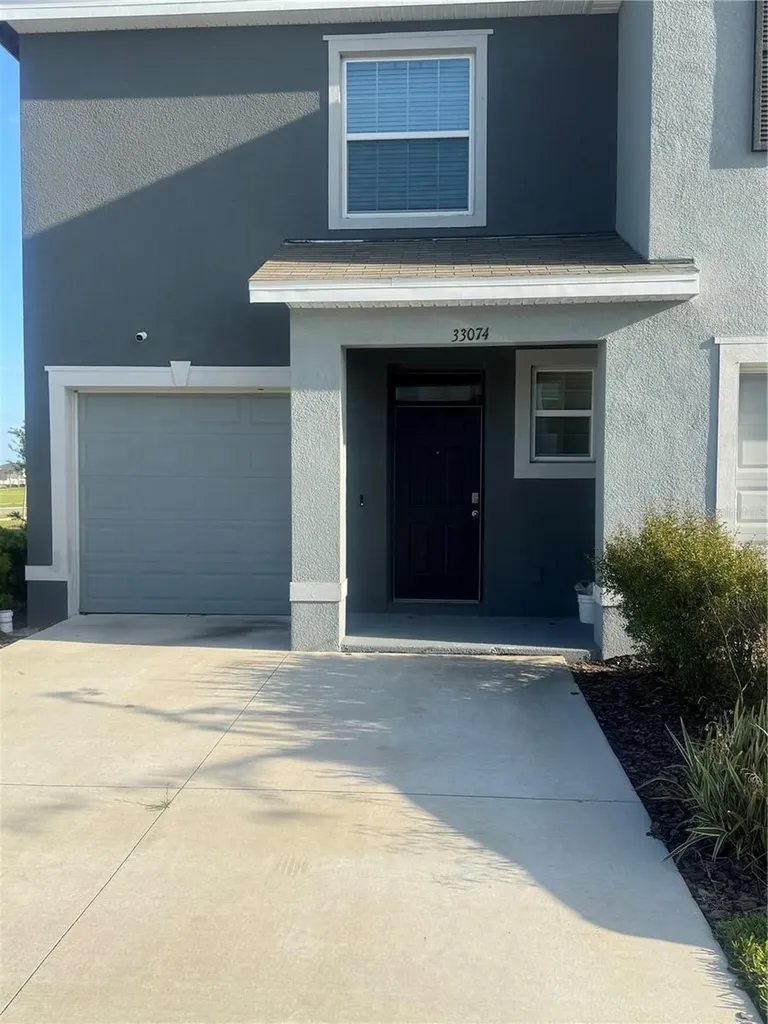 33074 Tulip Petal Lane Wesley Chapel FL 33545