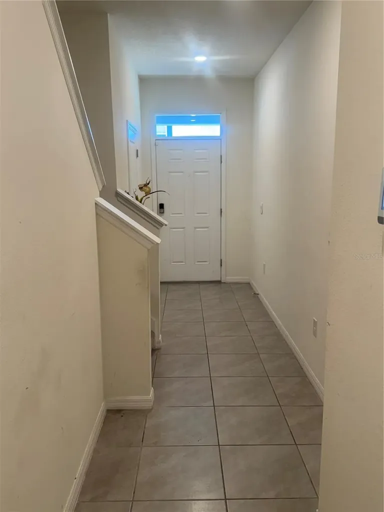 33074 Tulip Petal Lane Wesley Chapel FL 33545