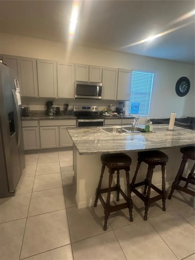 33074 Tulip Petal Lane Wesley Chapel FL 33545
