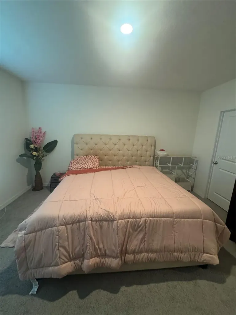 33074 Tulip Petal Lane Wesley Chapel FL 33545