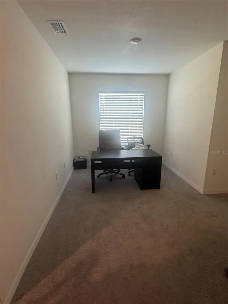 33074 Tulip Petal Lane Wesley Chapel FL 33545